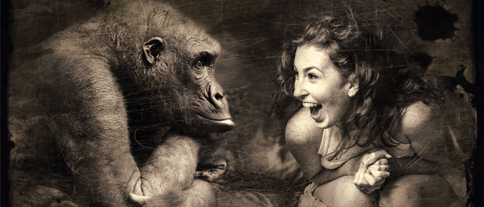 Gail Gillespie Fox Author Page