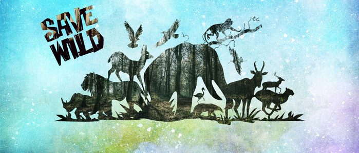 Gail Gillespie Fox Author Page