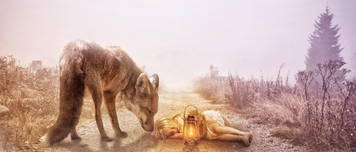 Gail Gillespie Fox Author Page